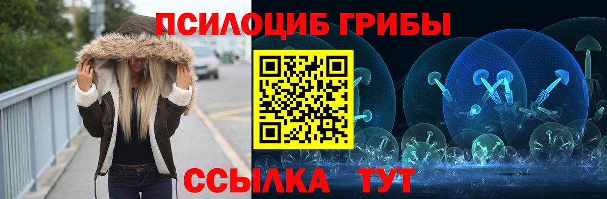Псилоцибиновые грибы Psilocybine cubensis  Вход с VPN  Саяногорск 